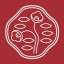 Shiseido official logo
