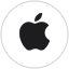 Apple Inc. official logo